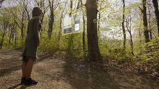 East County VR Presents Augmented Reality Nature Experiences screenshot 2