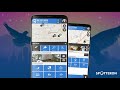 Spotteron citizen science app  add spot dialogue in big city birds