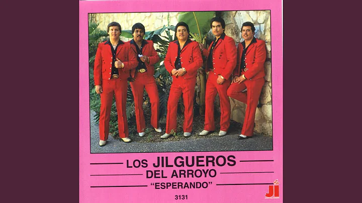 Ilusion Sin Esperanza