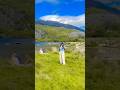 #love #travel #enjoy #nature #fyp #snowdonia #song