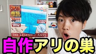 自作アリの巣を作ってみた！【あり嫌い閲覧注意】