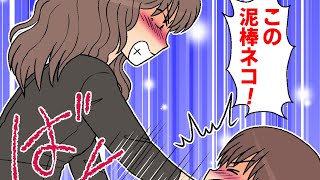 【漫画】突然女が馬乗りになって「この泥棒ネコ！」と叫んだ→でも実は隣家の間違いだった。と思いきや…（スカッとするマンガ動画）