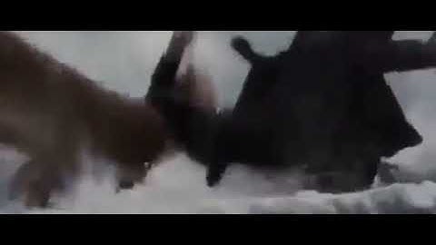 The Twilight Saga: Breaking Dawn-Part 2 (2012) Wilhelm Scream