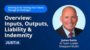 Inputs, Outputs, Liability & Indemnity | Advising on AI: Guiding Your Clients Through AI  1/4