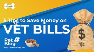 5 Tips to Save Money on Vet Bills
