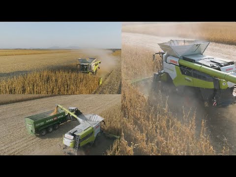 Digitale Helfer von CLAAS bei der Maisernte