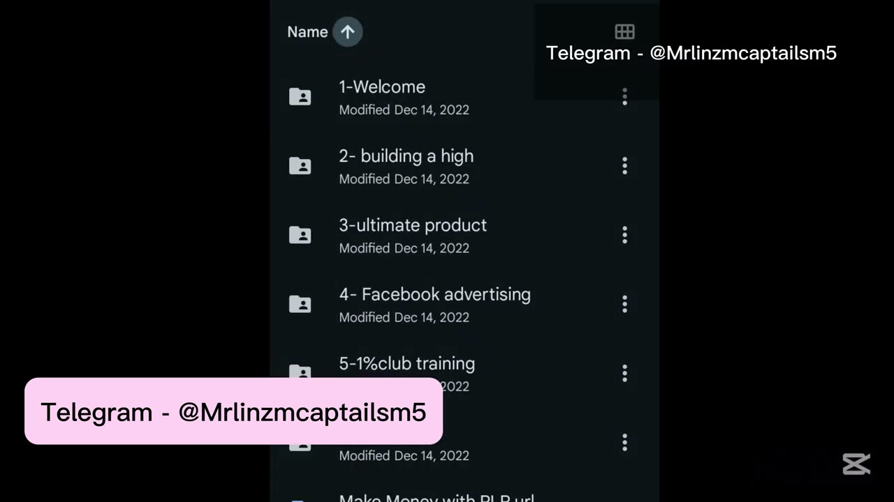 Manjeet Singh sangha Dropped shipping course | Desi rich kid training program 