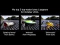Fishing: my best top 3 surface topwater lures poppers for bass pike muskie perch. Рыбалка щука окунь