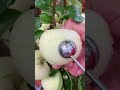 FRUTA