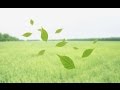 合唱曲 「心と心で」