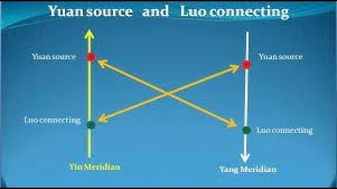 LUO-CONNECTING POINTS 3: Yuan Luo (Guest-Host) Point Combinations in Clinical Practice