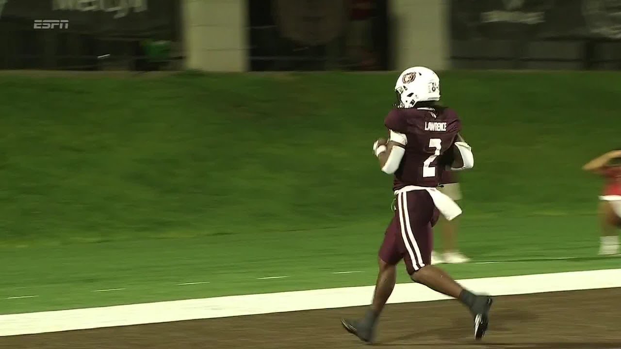 Tennessee-Martin Skyhawks vs. Missouri State Bears - Highlights | 2025 Regular Season Week 4