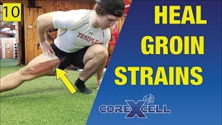 Groin Strain (Adductor Magnus)  One Day Fix Using this Unexpected Exercise  Ep10