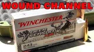 .243 Winchester Deer Season Xp Wound Channel