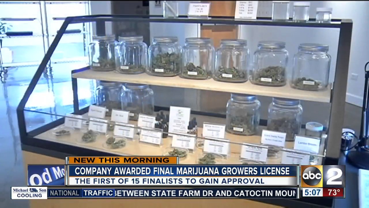 Anne Arundel County company awarded first marijuana growers license