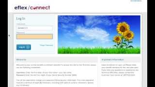 eflexConnect Demo
