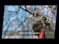 泣かないで