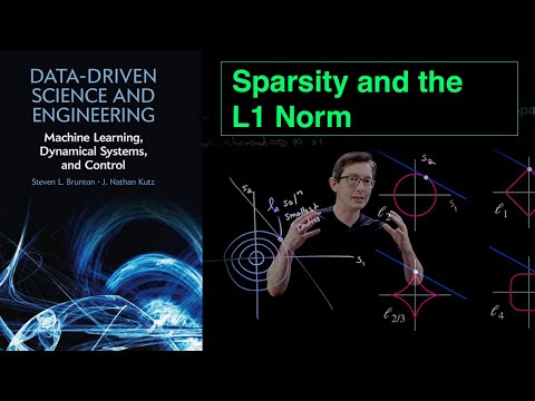 Video: Modellbasierte Myokardiale T1-Kartierung Mit Sparsity-Einschränkungen Unter Verwendung Der Radialen FLASH-Magnetresonanz Mit Einmaliger Inversionswiederherstellung