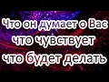 Что он думает о Вас? Что чувствует!? Что будет делать? Онлайн расклад ТАРО