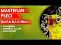 MASTERAN PLECI JUARA // Pleci Nembak Sejalur // Markas Tjm #masteranpleci  #viral