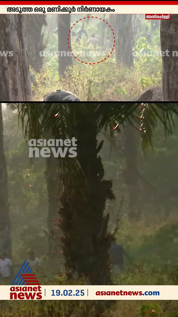 മയങ്ങിവീണ ആനയ്ക്ക് ചുറ്റും കുങ്കികൾ, വഴിയൊരുക്കാൻ ജെസിബി