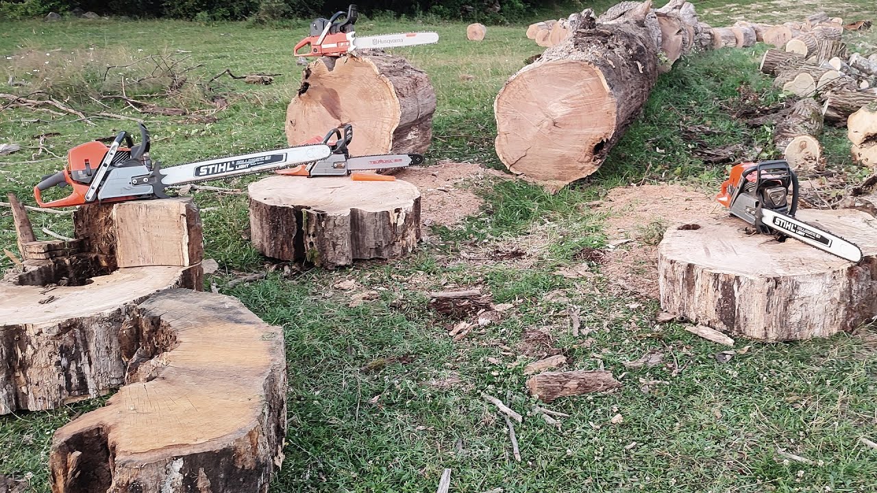 Husqvarna 592xp, 585, 372xp OE and Dolmar PS-9010 cutting big oak - YouTube