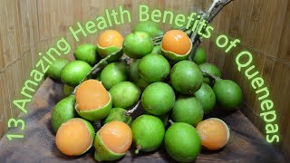 13 Amazing Health Benefits of Quenepas