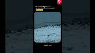 Önemsemediğin Bir Karar, Geri Dönülmez Bir Etki Yaratabilir