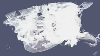 Paraview volume rendering of CT data