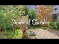 SUB《ナチュラルな庭づくりのための5つのポイント》ガーデニング*ナチュラルガーデン《T's Garden》