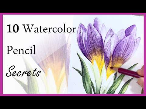 How to Use Watercolor Pencils Successfully (10 Tips for Beginners) Spring crocus tutorial