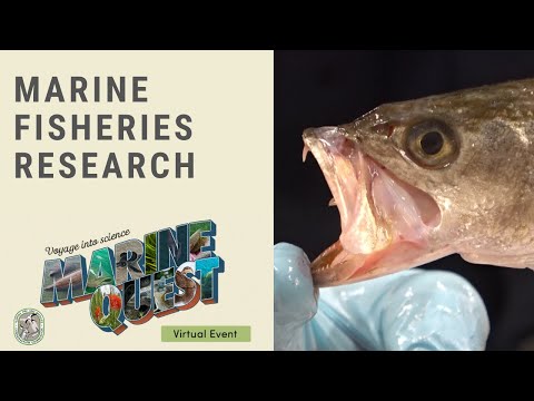 MarineQuest 2020: Marine Fisheries Research