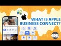Apple Business Connect: What Is It?