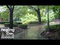 Rain Sounds on a Park &amp; Earthy Scent ASMR | Perfect Relaxing Time in Nature, Healing White Noise