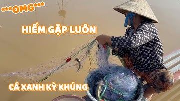 Không tin vào mắt luôn! Kéo lưới cá sác trúng xanh kỳ khủng! #ngườiđồngtháp #fishing