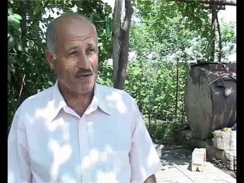 ეკომიგრანტები ბოლნისში