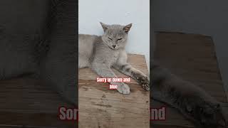 Send This To Someone You Love ,