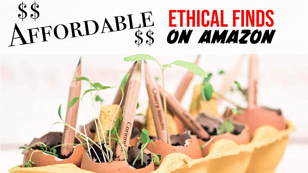 Practical Ethical Finds on Amazon | Eco Friendly Products on Amazon ...