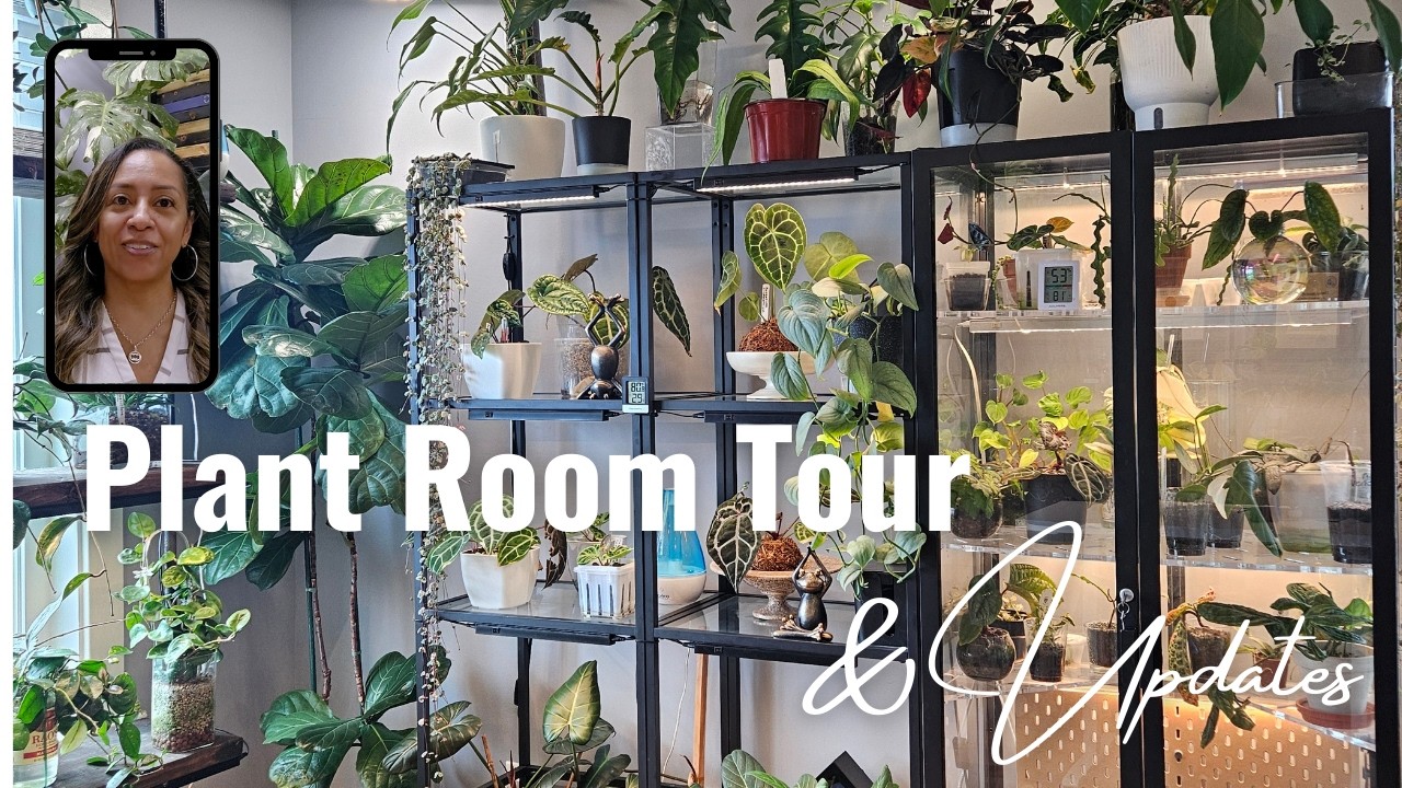 Plant Room Tour + Updates 🌱 What’s Changed Since My Last Videos?