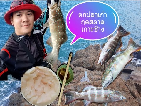 EP.29 ตกปลาเกาะช้าง โดนของแพงเข้าให้ฟินสุดๆ