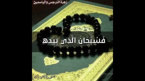 سورة يس حالات وتس اب قصيرة
