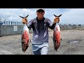 Non stop action at skyway fishing pier