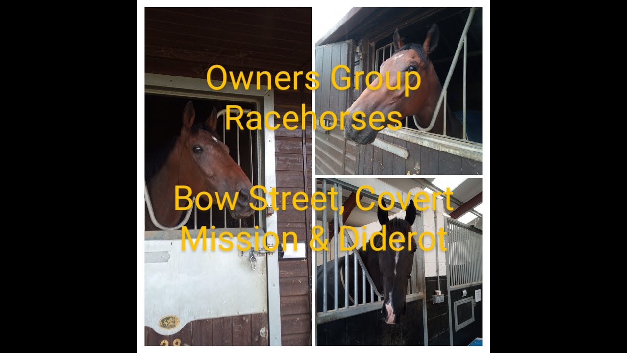 Owners Group Horses - Bow Street, Covert Mission & Diderot during Henry Cecil Weekend