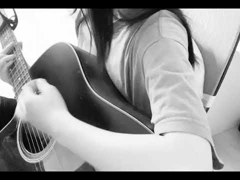 전기뱀장어 미로 커버