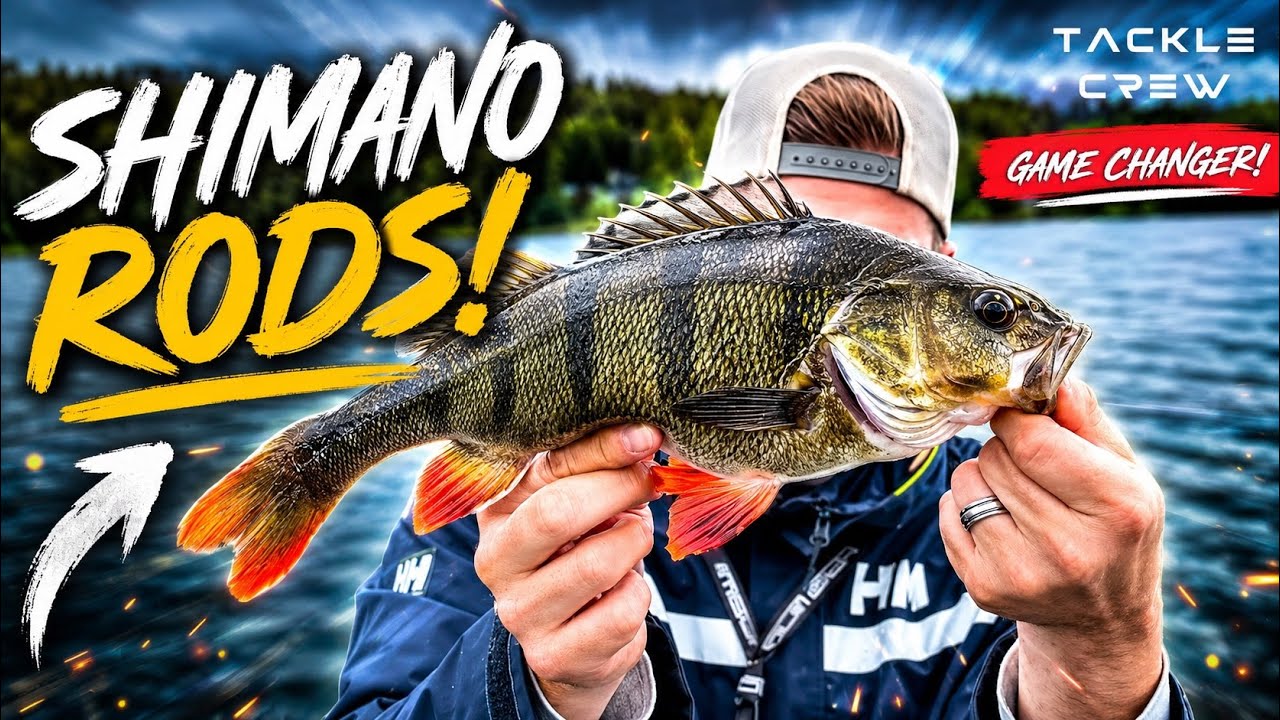 SHIMANO EXPRIDE & ZODIAS 2026 - YouTube