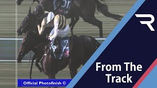 DRAMA at Sandown as Whistledown throws away victory in the very final stride - such bad luck!