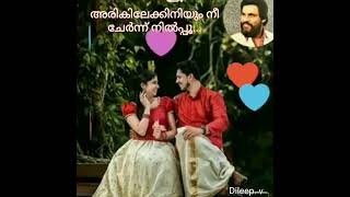 Arikilekiniyum Nee Chernnu Nilporiഅരകലകകനയ ന ചരനനനലകകDileep. V