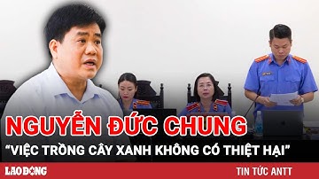 Cựu Chủ tịch TP Hà Nội Nguyễn Đức Chung: Việc trồng cây xanh là ý nghĩa, không có thiệt hại | BLĐ