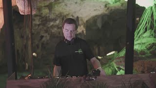 Nick Warren | Beats of Nature & The Soundgarden | Tulum (Mexico)