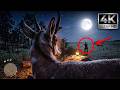 RDR 2 (PC GAMING) pt7 4K 60FPS ULTRA REALISTIC GAMEPLAY IN 2026 let's play together